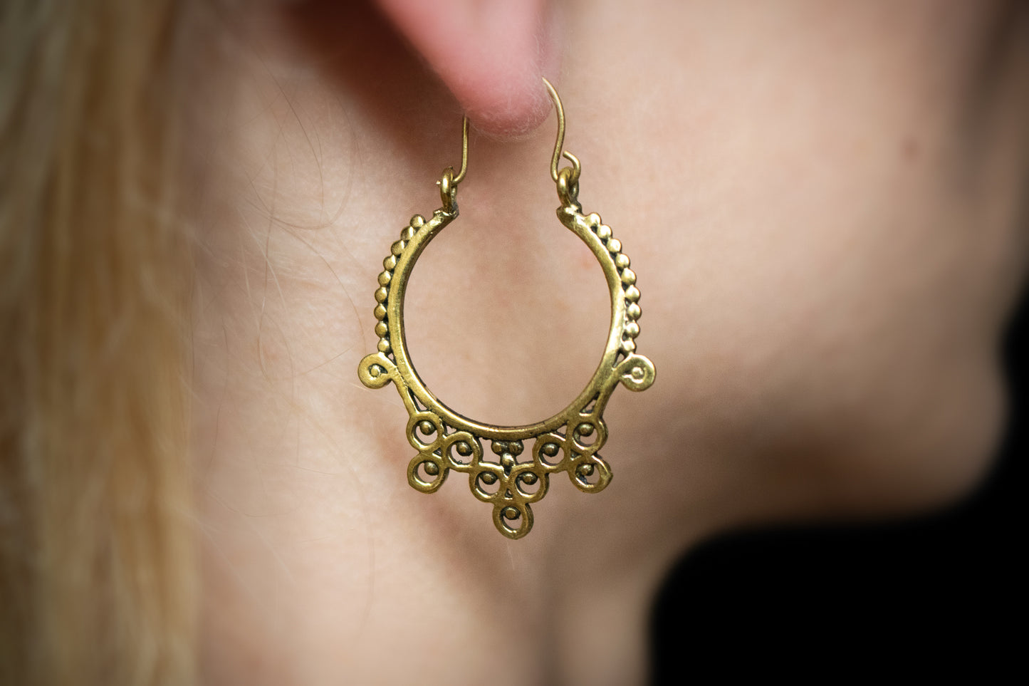Elegance Loop Earrings