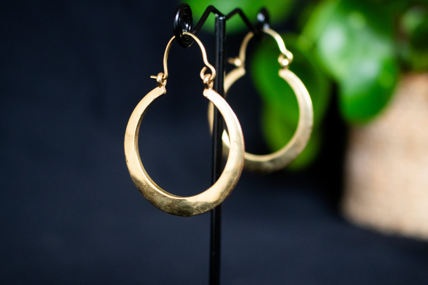 Golden Crescent Hoop Earrings